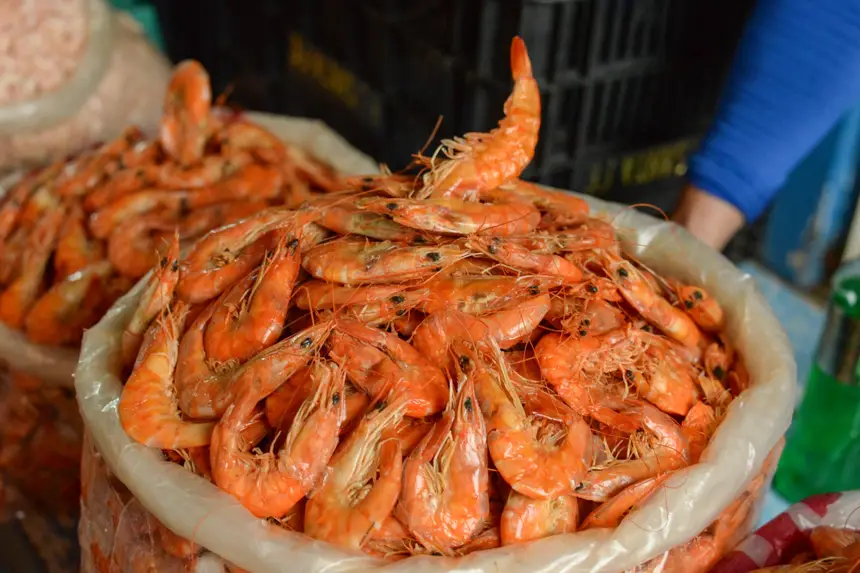  <div class='credito_fotos'>Foto: Gabriel Penha/Secom Gea &nbsp;&nbsp;|&nbsp;&nbsp; <a href='/midias/2026/originais/20260129115427-GF00016903-F00215989.webp' download><i class='fa-solid fa-download'></i> Download</a></div>