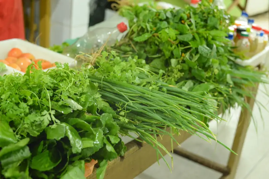  <div class='credito_fotos'>Foto: Gabriel Penha/Secom Gea &nbsp;&nbsp;|&nbsp;&nbsp; <a href='/midias/2026/originais/20260129115428-GF00016903-F00215990.webp' download><i class='fa-solid fa-download'></i> Download</a></div>