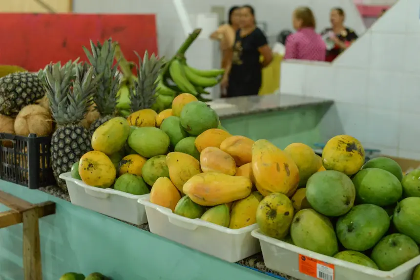  <div class='credito_fotos'>Foto: Gabriel Penha/Secom Gea &nbsp;&nbsp;|&nbsp;&nbsp; <a href='/midias/2026/originais/20260129115429-GF00016903-F00215992.webp' download><i class='fa-solid fa-download'></i> Download</a></div>