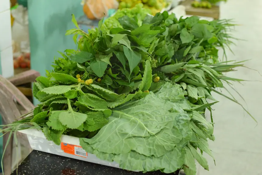  <div class='credito_fotos'>Foto: Gabriel Penha/Secom Gea &nbsp;&nbsp;|&nbsp;&nbsp; <a href='/midias/2026/originais/20260129115431-GF00016903-F00215995.webp' download><i class='fa-solid fa-download'></i> Download</a></div>