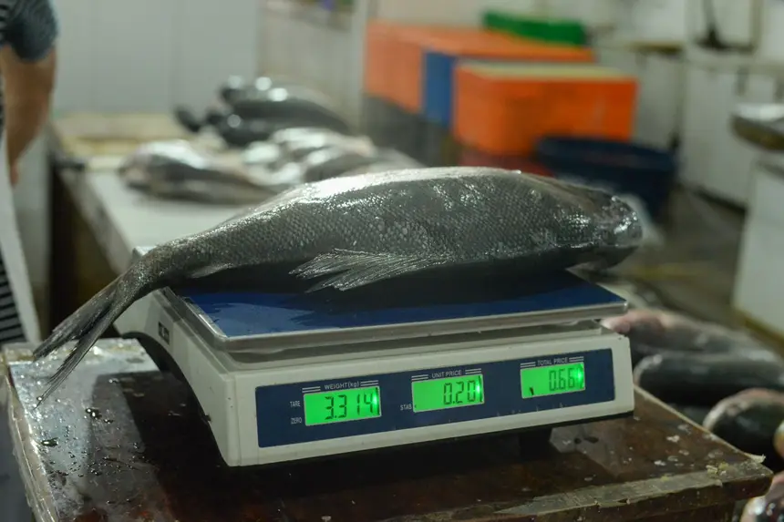  <div class='credito_fotos'>Foto: Gabriel Penha/Secom Gea &nbsp;&nbsp;|&nbsp;&nbsp; <a href='/midias/2026/originais/20260129115432-GF00016903-F00215996.webp' download><i class='fa-solid fa-download'></i> Download</a></div>