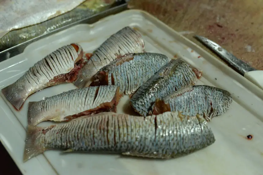  <div class='credito_fotos'>Foto: Gabriel Penha/Secom Gea &nbsp;&nbsp;|&nbsp;&nbsp; <a href='/midias/2026/originais/20260129115436-GF00016903-F00216002.webp' download><i class='fa-solid fa-download'></i> Download</a></div>