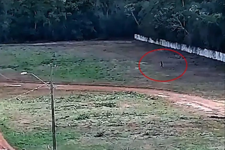 Criminoso flagrado pelo monitoramento do Iapen