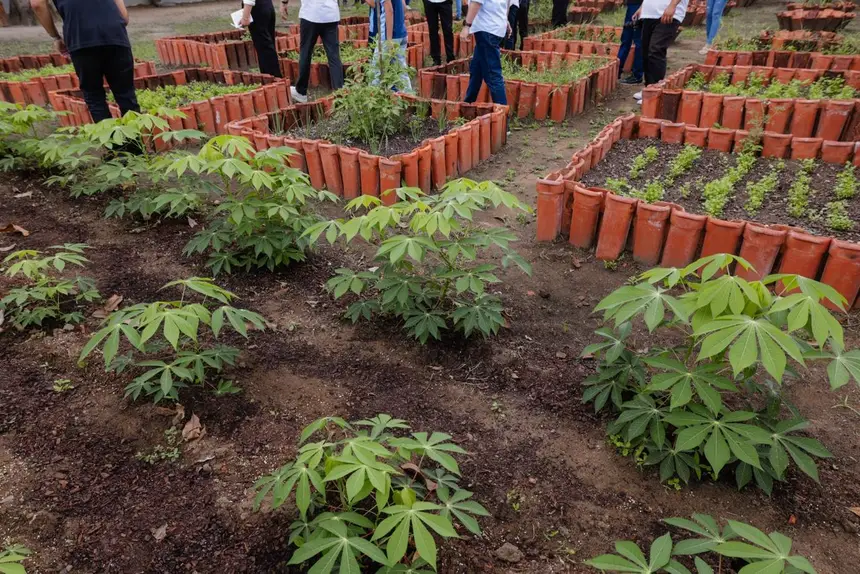  <div class='credito_fotos'>Foto: Ruan Alves / GEA &nbsp;&nbsp;|&nbsp;&nbsp; <a href='/midias/2026/originais/20260202151531-GF00016912-F00216182.webp' download><i class='fa-solid fa-download'></i> Download</a></div>