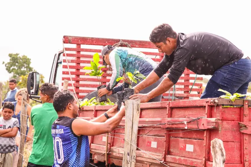 Diversificação agrícola e renda sustentável para dezenas de famílias no Assentamento São Benedito do Aporema.