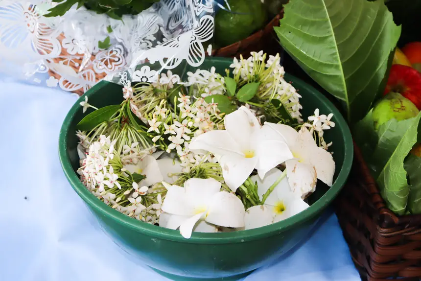  <div class='credito_fotos'>Foto: Adriano Monteiro/GEA &nbsp;&nbsp;|&nbsp;&nbsp; <a href='/midias/2026/originais/20260209093711-GF00016925-F00216816.webp' download><i class='fa-solid fa-download'></i> Download</a></div>