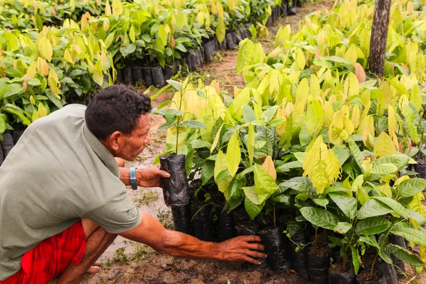  <div class='credito_fotos'>Foto: Gabriel Penha/Secom Gea &nbsp;&nbsp;|&nbsp;&nbsp; <a href='/midias/2026/originais/20260209111910-GF00016936-F00217163.webp' download><i class='fa-solid fa-download'></i> Download</a></div>