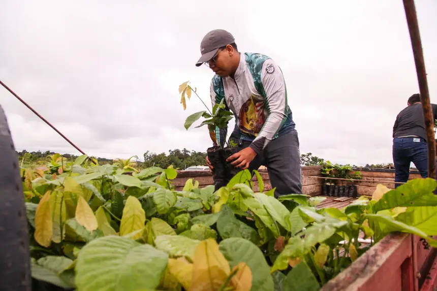  <div class='credito_fotos'>Foto: Gabriel Penha/Secom Gea &nbsp;&nbsp;|&nbsp;&nbsp; <a href='/midias/2026/originais/20260209111914-GF00016936-F00217168.webp' download><i class='fa-solid fa-download'></i> Download</a></div>