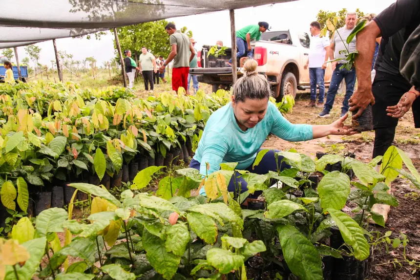  <div class='credito_fotos'>Foto: Gabriel Penha/Secom Gea &nbsp;&nbsp;|&nbsp;&nbsp; <a href='/midias/2026/originais/20260209111918-GF00016936-F00217173.webp' download><i class='fa-solid fa-download'></i> Download</a></div>