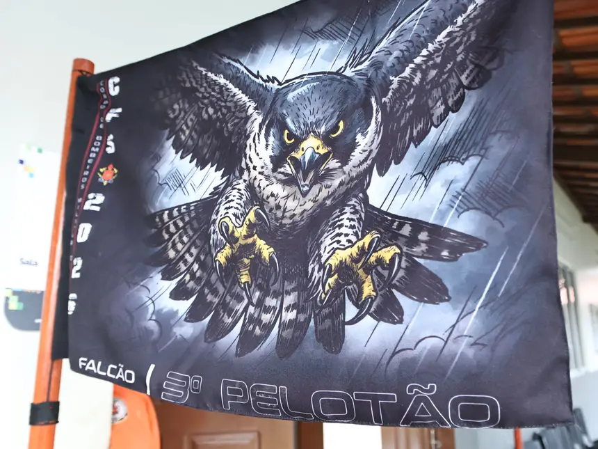  <div class='credito_fotos'>Foto: Jorge Júnior/GEA &nbsp;&nbsp;|&nbsp;&nbsp; <a href='/midias/2026/originais/20260211150322-GF00016950-F00217234.webp' download><i class='fa-solid fa-download'></i> Download</a></div>