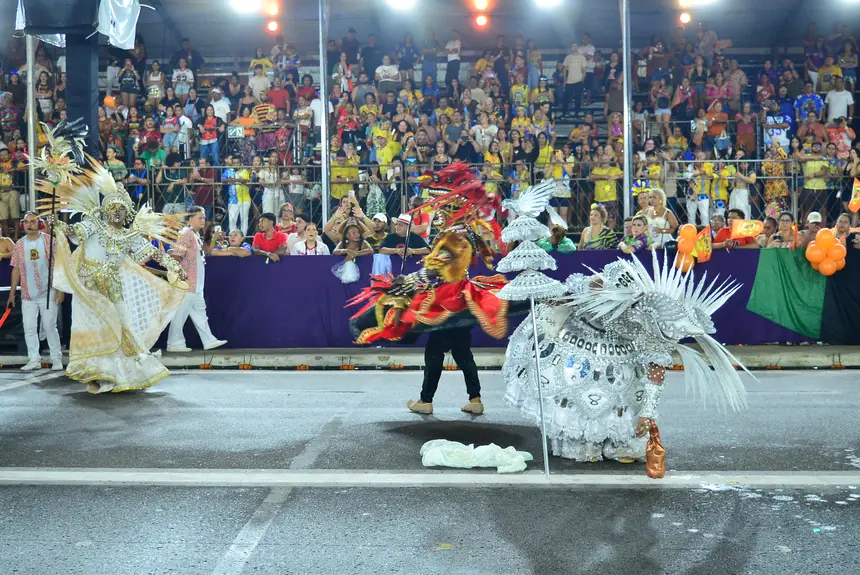  <div class='credito_fotos'>Foto: Maksuel Martins/GEA &nbsp;&nbsp;|&nbsp;&nbsp; <a href='/midias/2026/originais/20260215063610-GF00016949-F00218103.webp' download><i class='fa-solid fa-download'></i> Download</a></div>