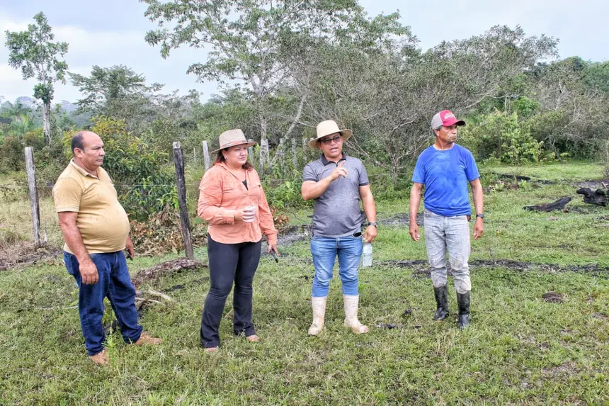  <div class='credito_fotos'>Foto: Aog Rocha/GEA &nbsp;&nbsp;|&nbsp;&nbsp; <a href='/midias/2026/originais/20260220074106-GF00016964-F00218491.webp' download><i class='fa-solid fa-download'></i> Download</a></div>