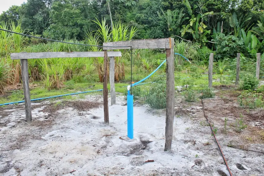  <div class='credito_fotos'>Foto: Aog Rocha/GEA &nbsp;&nbsp;|&nbsp;&nbsp; <a href='/midias/2026/originais/20260220074111-GF00016964-F00218497.webp' download><i class='fa-solid fa-download'></i> Download</a></div>