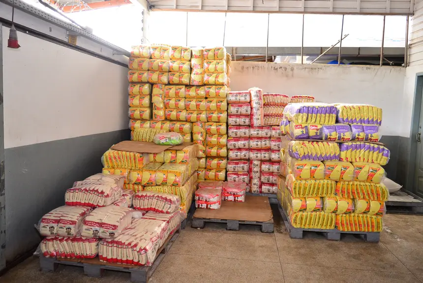  <div class='credito_fotos'>Foto: Maksuel Martins/GEA &nbsp;&nbsp;|&nbsp;&nbsp; <a href='/midias/2026/originais/20260225101718-GF00016973-F00218656.webp' download><i class='fa-solid fa-download'></i> Download</a></div>