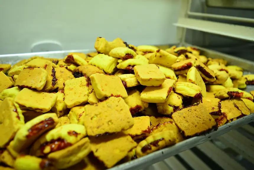  <div class='credito_fotos'>Foto: Maksuel Martins/GEA &nbsp;&nbsp;|&nbsp;&nbsp; <a href='/midias/2026/originais/20260225101748-GF00016973-F00218676.webp' download><i class='fa-solid fa-download'></i> Download</a></div>