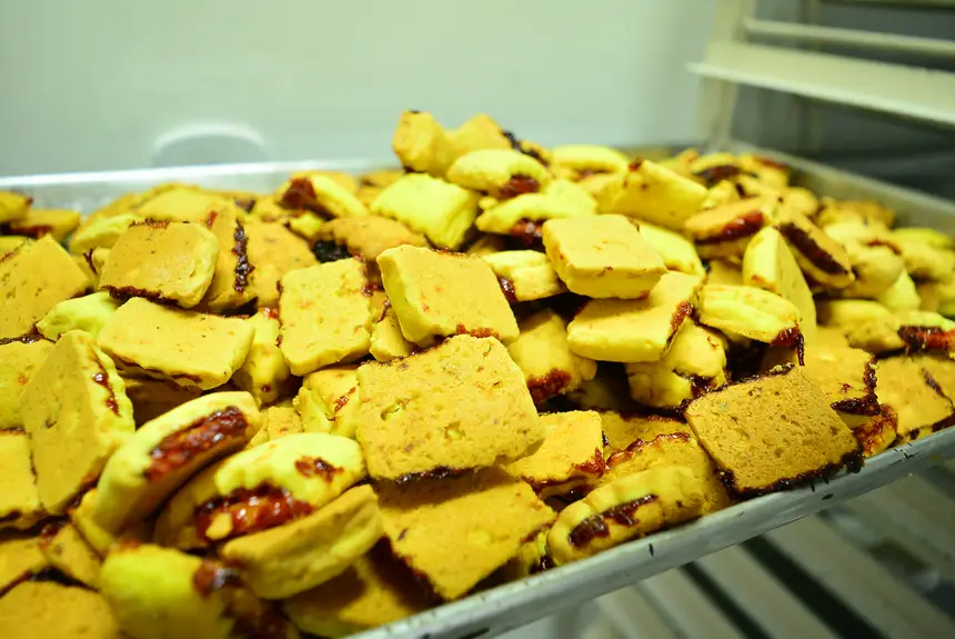  <div class='credito_fotos'>Foto: Maksuel Martins/GEA &nbsp;&nbsp;|&nbsp;&nbsp; <a href='/midias/2026/originais/20260225101749-GF00016973-F00218677.webp' download><i class='fa-solid fa-download'></i> Download</a></div>