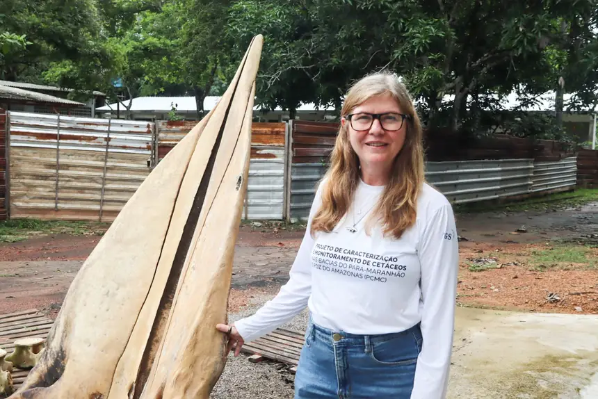  <div class='credito_fotos'>Foto: Adriano Monteiro/GEA &nbsp;&nbsp;|&nbsp;&nbsp; <a href='/midias/2026/originais/20260318082932-GF00017017-F00219715.webp' download><i class='fa-solid fa-download'></i> Download</a></div>