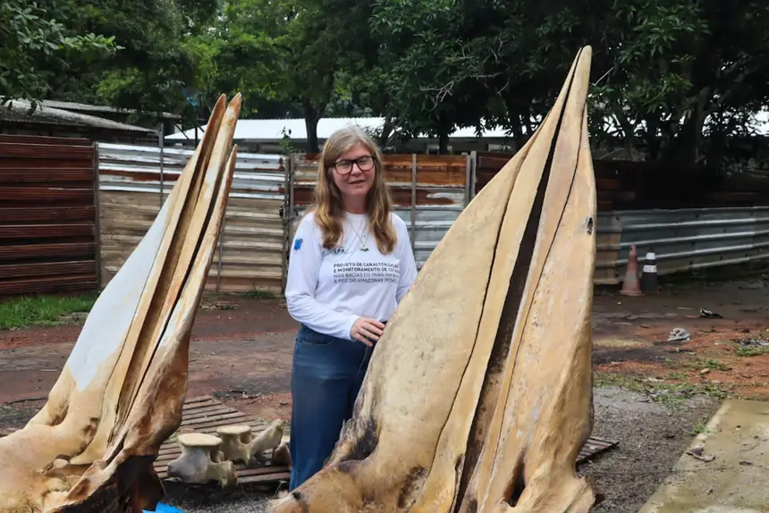  <div class='credito_fotos'>Foto: Adriano Monteiro/GEA &nbsp;&nbsp;|&nbsp;&nbsp; <a href='/midias/2026/originais/20260318082933-GF00017017-F00219716.webp' download><i class='fa-solid fa-download'></i> Download</a></div>