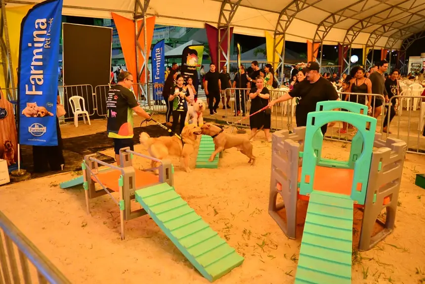  <div class='credito_fotos'>Foto: Maksuel Martins/GEA &nbsp;&nbsp;|&nbsp;&nbsp; <a href='/midias/2026/originais/20260323123418-GF00017037-F00220200.webp' download><i class='fa-solid fa-download'></i> Download</a></div>