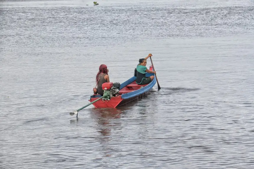  <div class='credito_fotos'>Foto: Aog Rocha/GEA &nbsp;&nbsp;|&nbsp;&nbsp; <a href='/midias/2026/originais/20260326085202-GF00017040-F00220309.webp' download><i class='fa-solid fa-download'></i> Download</a></div>