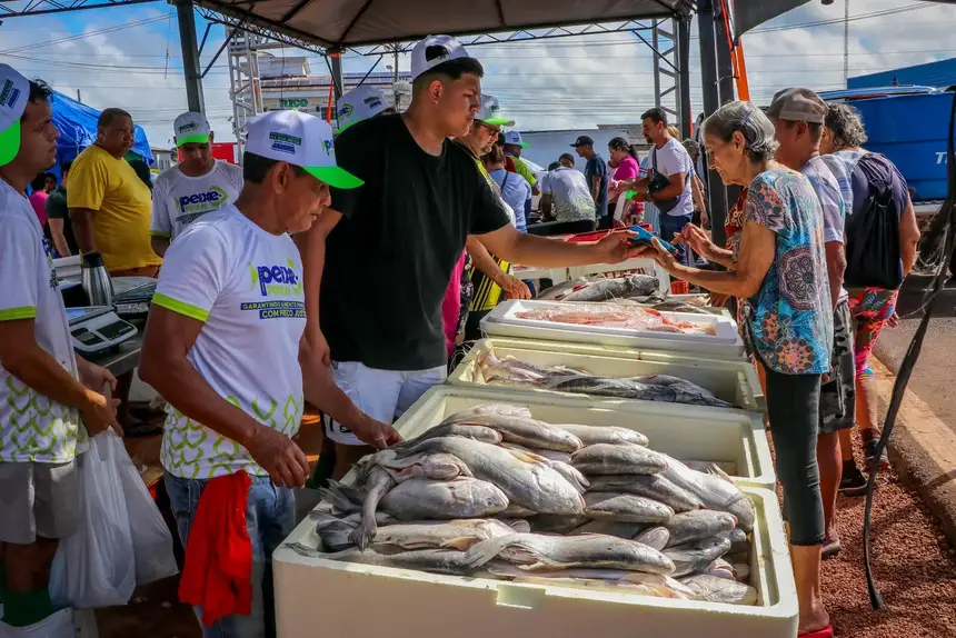 Foto: Ruan Alves/GEA Coordenada pela Secretaria de Estado da Pesca e Aquicultura (Sepaq), a iniciativa projeta a comercialização de 170 toneladas de pescado.