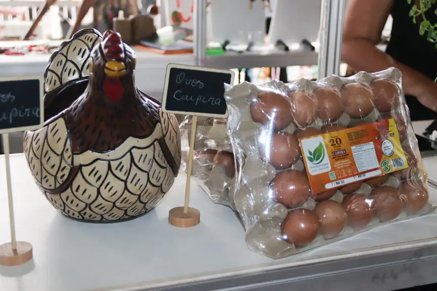  <div class='credito_fotos'>Foto: Adriano Monteiro/GEA &nbsp;&nbsp;|&nbsp;&nbsp; <a href='/midias/2026/originais/20260327093905-GF00017045-F00220444.webp' download><i class='fa-solid fa-download'></i> Download</a></div>