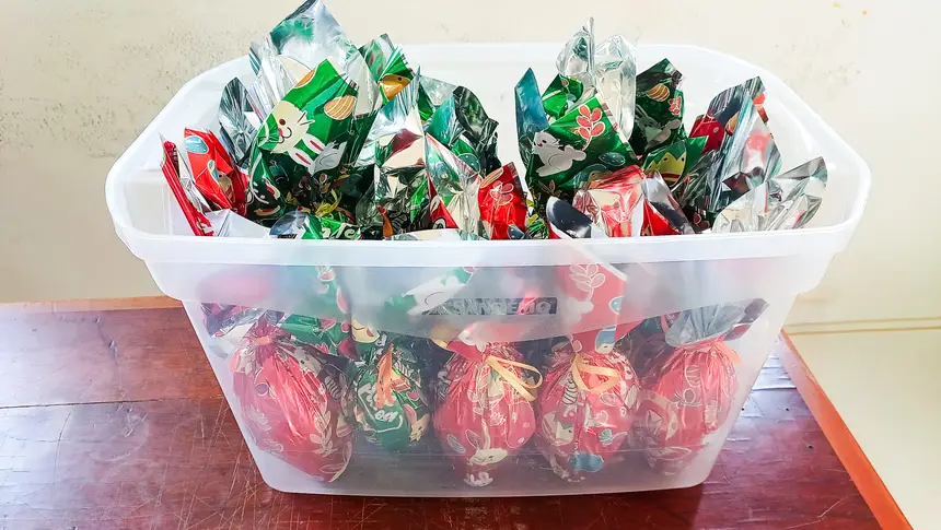  <div class='credito_fotos'>Foto: Adriano Monteiro/GEA &nbsp;&nbsp;|&nbsp;&nbsp; <a href='/midias/2026/originais/20260331110736-GF00017055-F00220702.webp' download><i class='fa-solid fa-download'></i> Download</a></div>