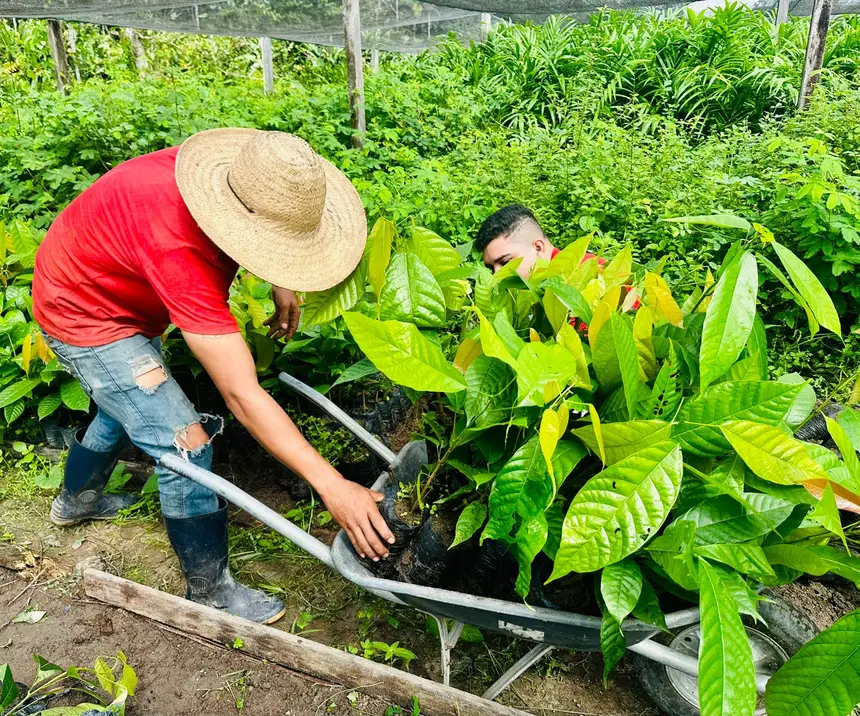 Foto: Weverton Façanha/GEA Produtores rurais durante a retirada das mudas do viveiro