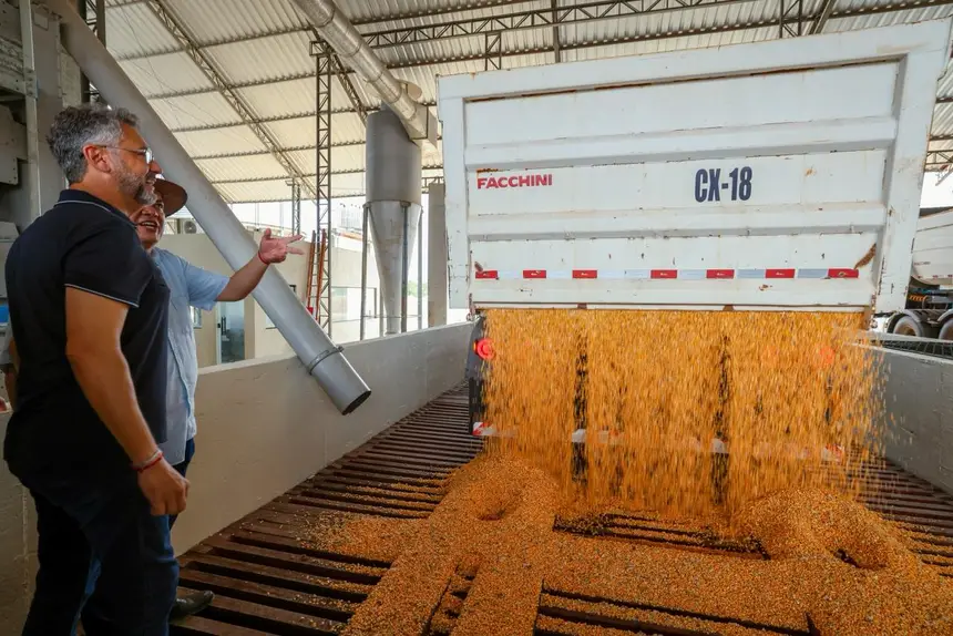  <div class='credito_fotos'>Foto: Ruan Alves / GEA &nbsp;&nbsp;|&nbsp;&nbsp; <a href='/midias/2026/originais/20260414114950-GF00017080-F00221379.webp' download><i class='fa-solid fa-download'></i> Download</a></div>