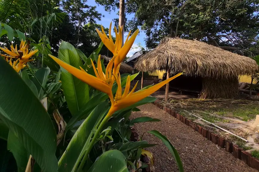 Uma parte da natureza intacta guarda as cores da Amazônia 