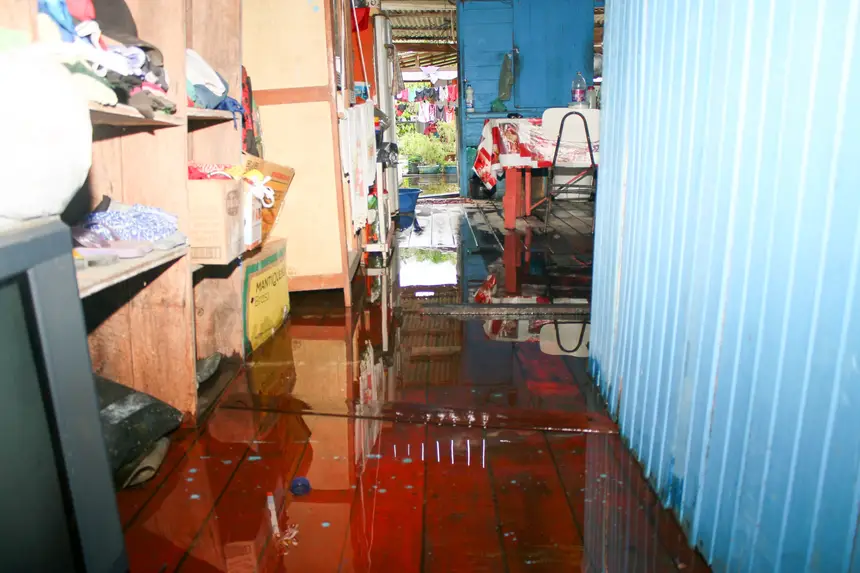  <div class='credito_fotos'>Foto: Aog Rocha/GEA &nbsp;&nbsp;|&nbsp;&nbsp; <a href='/midias/2026/originais/20260427120140-GF00017101-F00221922.webp' download><i class='fa-solid fa-download'></i> Download</a></div>