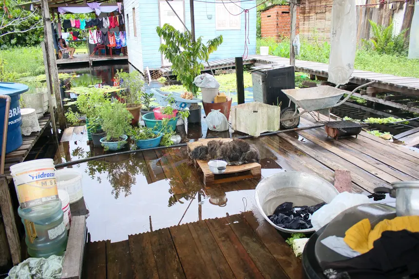  <div class='credito_fotos'>Foto: Aog Rocha/GEA &nbsp;&nbsp;|&nbsp;&nbsp; <a href='/midias/2026/originais/20260427120141-GF00017101-F00221923.webp' download><i class='fa-solid fa-download'></i> Download</a></div>