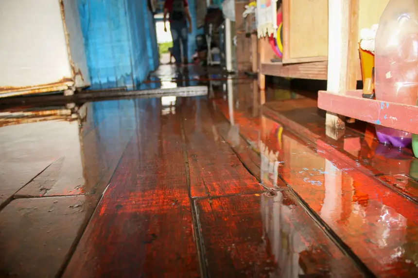  <div class='credito_fotos'>Foto: Aog Rocha/GEA &nbsp;&nbsp;|&nbsp;&nbsp; <a href='/midias/2026/originais/20260427120142-GF00017101-F00221924.webp' download><i class='fa-solid fa-download'></i> Download</a></div>