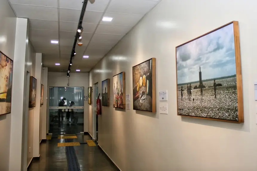  <div class='credito_fotos'>Foto: Aog Rocha/GEA &nbsp;&nbsp;|&nbsp;&nbsp; <a href='/midias/2026/originais/20260428124831-GF00017109-F00222162.webp' download><i class='fa-solid fa-download'></i> Download</a></div>