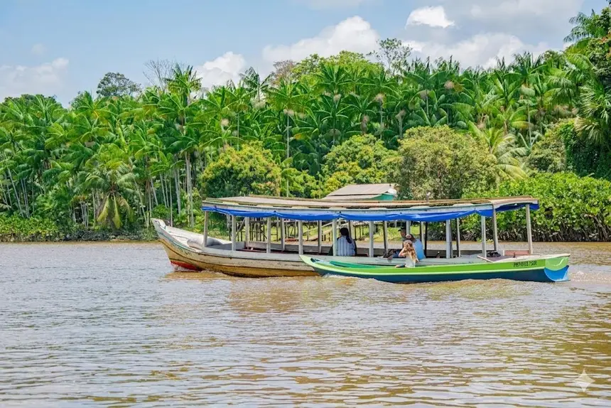 Foto: Maksuel Martins/GEA O transporte fluvial é a artéria que pulsa a economia do açaí na Amazônia