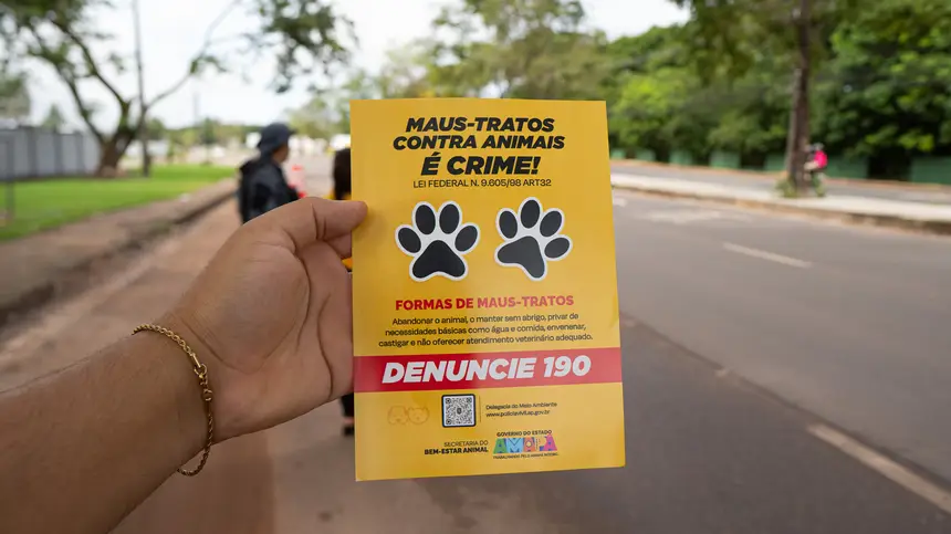  <div class='credito_fotos'>Foto: Arthur Alves / SECOM GEA &nbsp;&nbsp;|&nbsp;&nbsp; <a href='/midias/2026/originais/20260528145104-GF00017168-F00223594.webp' download><i class='fa-solid fa-download'></i> Download</a></div>
