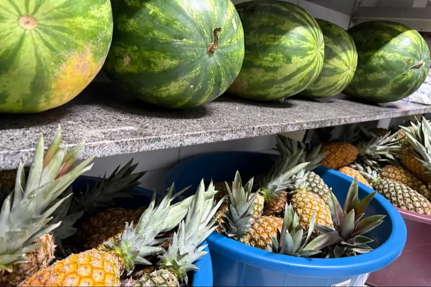 Alimentos adquiridos da agricultura familiar