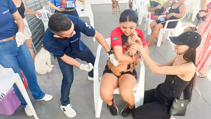  <div class='credito_fotos'>Foto: Adriano Monteiro/GEA &nbsp;&nbsp;|&nbsp;&nbsp; <a href='/midias/2026/originais/20260618121742-GF00017204-F00224579.webp' download><i class='fa-solid fa-download'></i> Download</a></div>