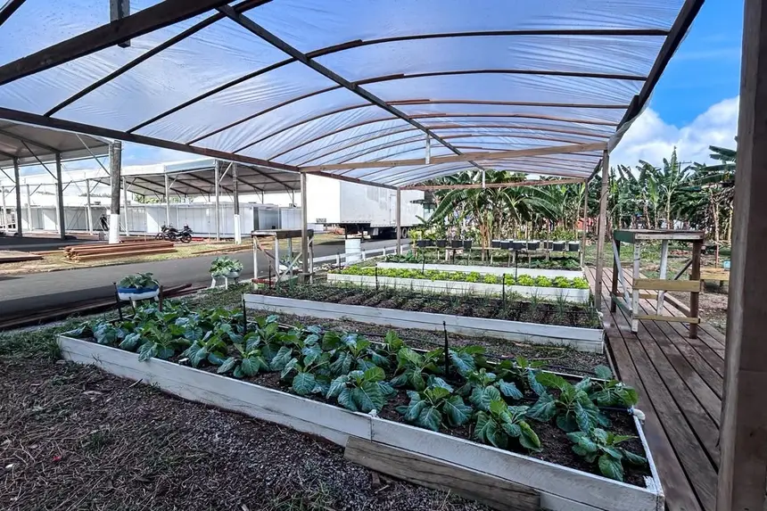 Produção Rural