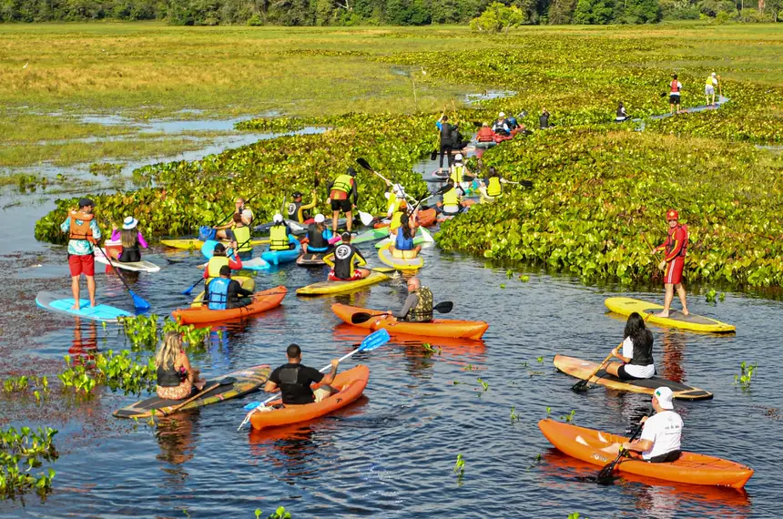 Remar pelas águas do Curiaú é descobrir a riqueza das áreas protegidas do Amapá.