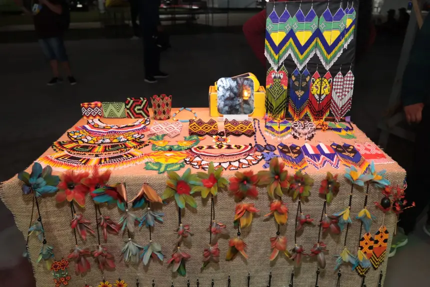 Brincos de pena, pulseirad de sementes e brincos regionais