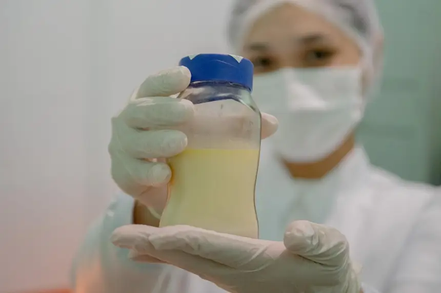 O leite doado é destinado a recém-nascidos prematuros, de baixo peso ou que, por condições clínicas, precisam desse alimento durante a internação