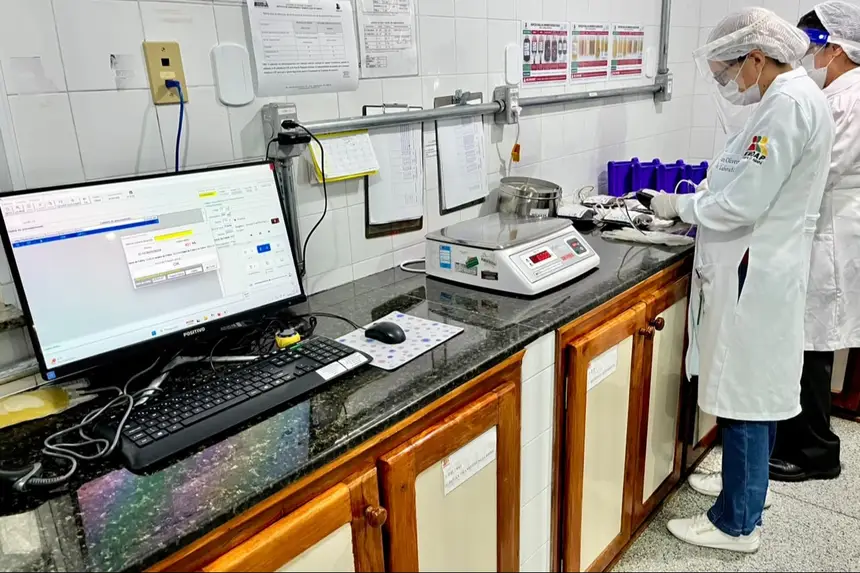 Equipe técnica monitora o laudo dos exames e os testes imuno-hematológicos antes da liberação das bolsas