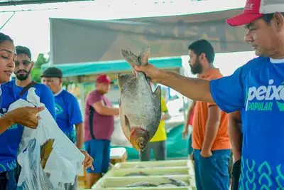 notícia: Governo do Amapá garante peixe até 30% mais barato e projeta comercializar 170 toneladas na Semana Santa