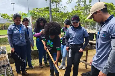 notícia: Parceria entre GEA e Ifap promove práticas de sustentabilidade para alunos da Escola Estadual Elias Trajano, em Porto Grande