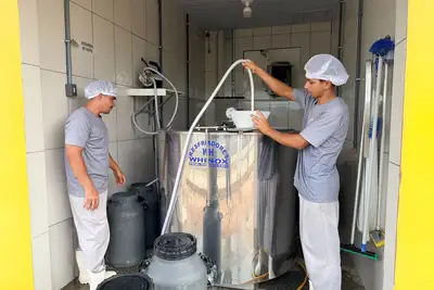 notícia: Governo do Amapá consolida avanço do setor primário com investimento direto na produção rural