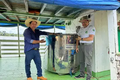 notícia: Governo do Amapá: Tecnologia no campo impulsiona produção leiteira em Jarilândia