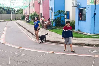 notícia:  I Circuito Pet Habitacional do Governo do Estado oferta serviços gratuitos para cães e gatos