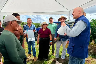 notícia: Governo do Amapá leva assistência técnica ao campo e fortalece a produção de abacaxi em Porto Grande