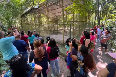 notícia: Projeto ‘Caps Verão’ promove manhã de integração e terapia ao ar livre no Bioparque da Amazônia